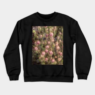 Nigella seed heads Crewneck Sweatshirt